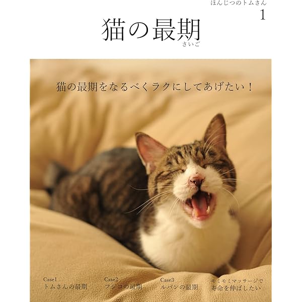 猫とラグビー好きおじさん専用 ねこねこ展22アナログ通販は8月8日から スガワラさんの現在店頭