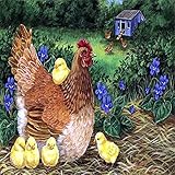 ＫＯＤＡ　ＫＵＭＩ　ＬＩＶＥ　ＴＯＵＲ　２０１６　ＢＥＳＴ　ＳＩＮＧＬＥ　ＣＯＬＬＥＣＴＩＯＮ　ＤＯＣＵＭＥＮＴＡＲＹ　ＦＩＬＭ（Ｆ