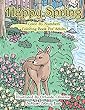 Happy Spring Color by Numbers Coloring Book for Adults: A Color by Numbers Coloring Book of Spring with Flowers, Butterflies, Country Scenes, Relaxing Designs, and More for Relaxation and Stress Relief