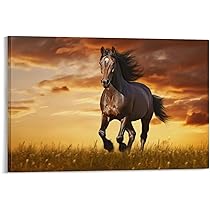 馬の絵の飾りもの Amazon.co.jp: 馬の壁の装飾、馬の壁飾り|カラフルな馬の壁