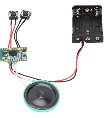 Amazon.co.jp: Stemedu MP3 再生キット 音楽音声録音モジュール DIY