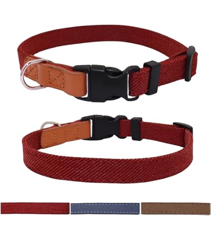 Amazon.co.jp: NEIGHBORHOOD ネイバーフッド dog 犬 ドッグ 首輪 レア