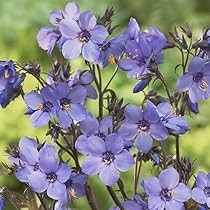 白ジャム 国内8月4日発売予定】プーマ スリップストリーム 全2色