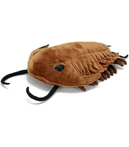 リアルな生物のぬいぐるみ 約60cm Amazon.co.jp: ZHONGXIN MADE リアルなカンブリア紀の古代生物