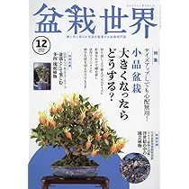 盆栽世界 2024年 11 月号 [雑誌] |本 | 通販 | Amazon