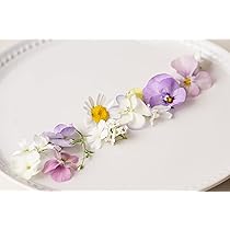 61VqVIekLyL._AC_UL210_SR210,