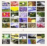 �W���p�j�[�Y �`���h�����Y �\���O�A���@�C�I����&�`�F��-���������ȏ���