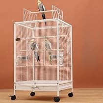 小鳥 バードケージ 68cm 360度見渡せる モモンガ 小動物全面クリア　透明 718NGz7A+wL._UF350,350_QL80_.jpg