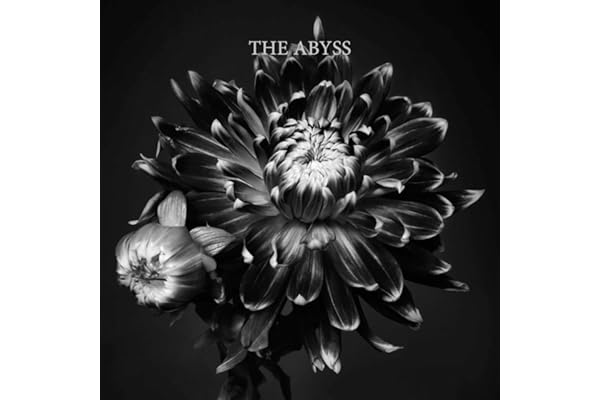 【Amazon.co.jp限定】THE ABYSS (通常盤)(特典:メガジャケ付)
