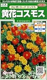 サカタのタネ 実咲花6362 黄花コスモス わい性ロードミックス 00906362
