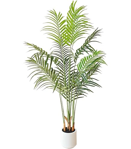 Amazon｜[LJKI] 人工観葉植物 ウンベラータ 180cm フェイクグリーン
