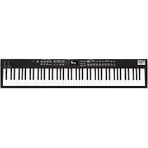 Amazon | 電子ピアノ ステージピアノ ローランド ROLAND RD-88EX Stage 