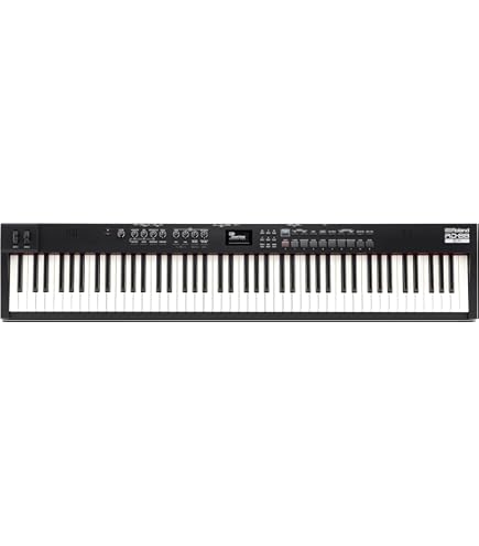 Amazon | Roland ローランド デジタルピアノ RD-300NX 88鍵 | 電子 