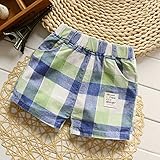 (チェリーレッド) CherryRed 子供 女の子 男の子 子供 ショートパンツ ハーフパンツ 夏物 チェック 110 グリーン