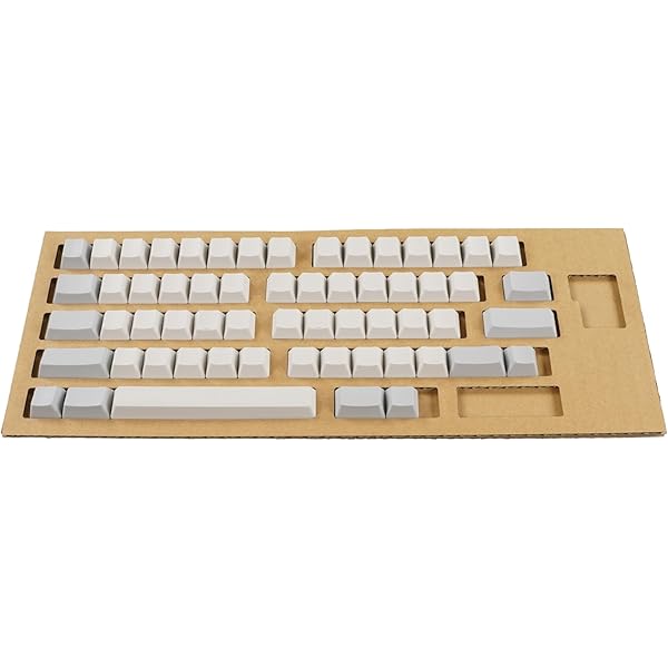 Amazon.co.jp: PFU キーボード HHKB Professional HYBRID 英語配列／白 
