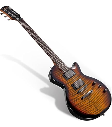 Amazon | ORTEGA オルテガ ギターバンジョー 6弦 エレキ仕様 Raven