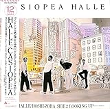 HALLE[カシオペア][LP盤]