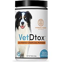 charcoal vet