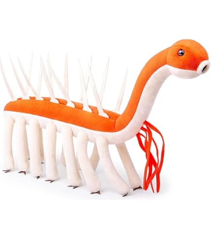 Amazon.co.jp: ZHONGXIN MADE 海洋性の奇妙なエビ ぬいぐるみ 54cm模擬