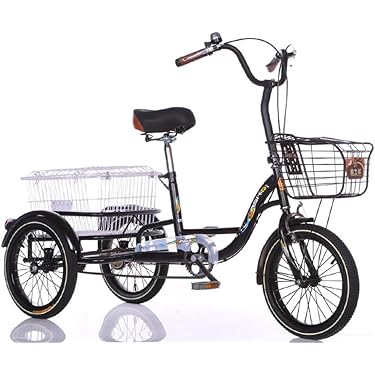 Amazon.co.jp 最新リリース: 小径車(ミニベロ) の新着ランキング