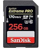SDカード256mg     専用出品 Amazon | SanDisk 256GB microSDカード SDXC UHS-1 U3 V30 4K