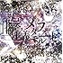自己都合主義メタモルフォーゼ(タイプA)