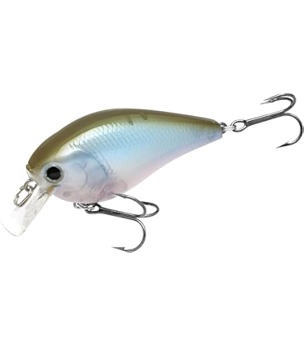 Amazon.co.jp: LC 1．5DRSゴーストミノー : スポーツ