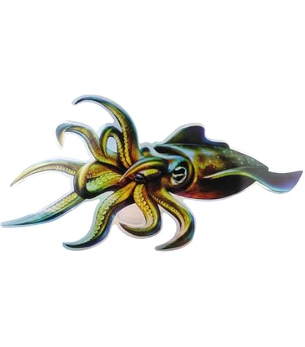 Amazon.co.jp: 蒔絵シール 魚文字 [烏賊 金] : おもちゃ