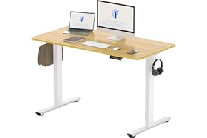 Kofisar Electric Height Adjustable Standing Desk/Ergonomic Office Desk (Walnut+White, L 120cm * W 60cm * H 72-117cm) - Modern
