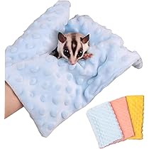 61W6AnF1YSL._AC_UL210_SR210,