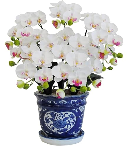Amazon｜光の楽園 フェイクグリーン 造花 フレッシュ胡蝶蘭3本立W