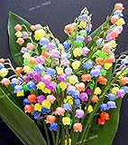 10 pcs Lily of the Valley flower seeds , bell orchid seeds,rich aroma ,bonsai flower seed, so cute a