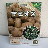 野菜球根パック：アピオス10株入り 2袋セット[おいしい薬用芋・お花も綺麗・緑のカーテンに！] ノーブランド品