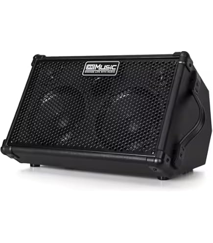 Amazon.co.jp: BOSS AC-22LX コンパクトアコースティックアンプ (AC