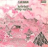 �O���C�ƃs���N�̒n