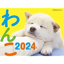 いぬのきもち　2024年　1年分　まとめ売り　12冊 いぬのきもち大判カレンダー2024 | いぬのきもち特別編集 |本