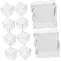 蝶標本 5個セット 透明ケース入り 蝶標本 5個セット 透明ケース入り