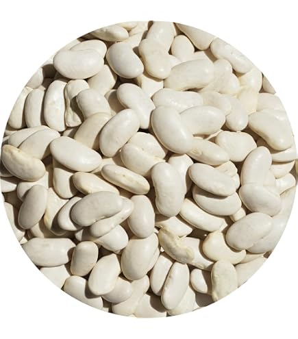 Amazon.co.jp: 白いんげん豆 500g カナダ産 : 食品・飲料・お酒