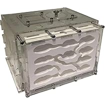 アリの巣観察キット(完成) Amazon.co.jp: アリの巣 3Dアリ飼育キット 観察キットアリの巣