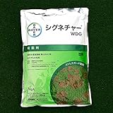 芝生用殺菌剤　シグネチャーWDG 1kg入り