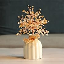 Amazon.co.jp: LIN-WELL 招財樹 金のなる木 風水アイテム