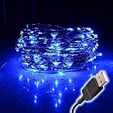 String Lights LED Lights Fairy Lights Xmas lights Outdoor lights -100 Leds, 33 feet Copper Wire USB 
