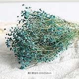 BAGEHUA 空の乾燥した花はリアルタイムの花。 リビングルームには永遠の花、乾燥された花、自然の花、星、カラフルな装飾的な花、ブルーの装飾が施されている