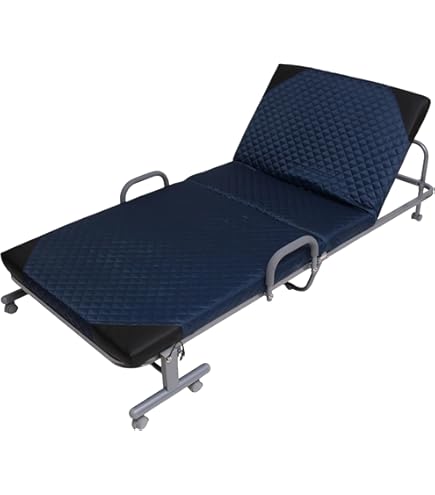 Amazon.co.jp: パラマウントベッド テストール～衝撃緩和マット～ / KE