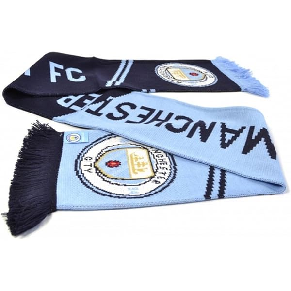 61WHgZhVPaL._AC_UL600_SR600,