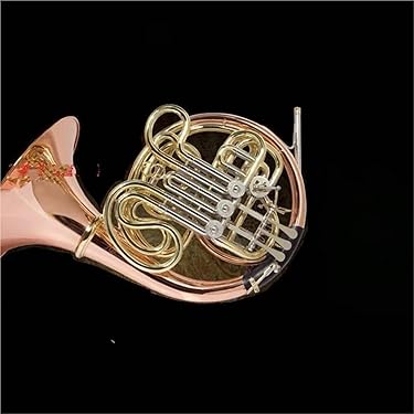 Amazon.co.jp 売れ筋ランキング: ダブルフレンチホルン の中で最も人気