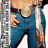 ネヴァー・ストップ～ザ・ベスト・オブ・ザ・ブラン・ニュー・ヘヴィーズ[初回生産限定盤 ][帯付き] [Analog]