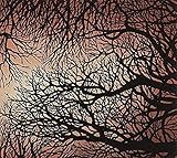 ZIMPEL / ZIOLEK [LP] [Analog]