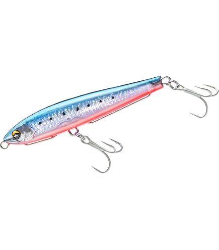 Amazon.co.jp: 【ダイワ】24セルテートSW 4000-H, 4000-XH用 MAX12BB