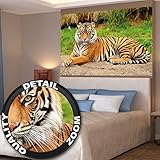 Tiger photo wall paper majestic tiger mural ideal for living room Great Art 55 Inch x 39.4 Inch [並行輸
